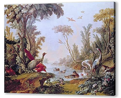 Постер (плакат) - Lake with geese, storks, parrots and herons from the Salon of Gilles Demarteau
