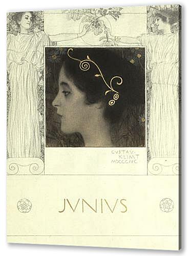 Постер (плакат) - Junius	
