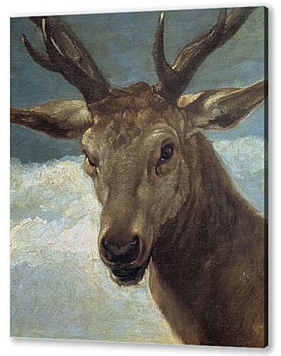 Картина маслом - Head of a Buck