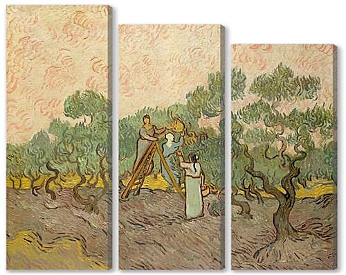 Модульная картина - Женщины собирают маслины
