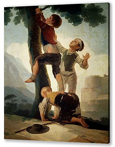 Boys Climbing a Tree
