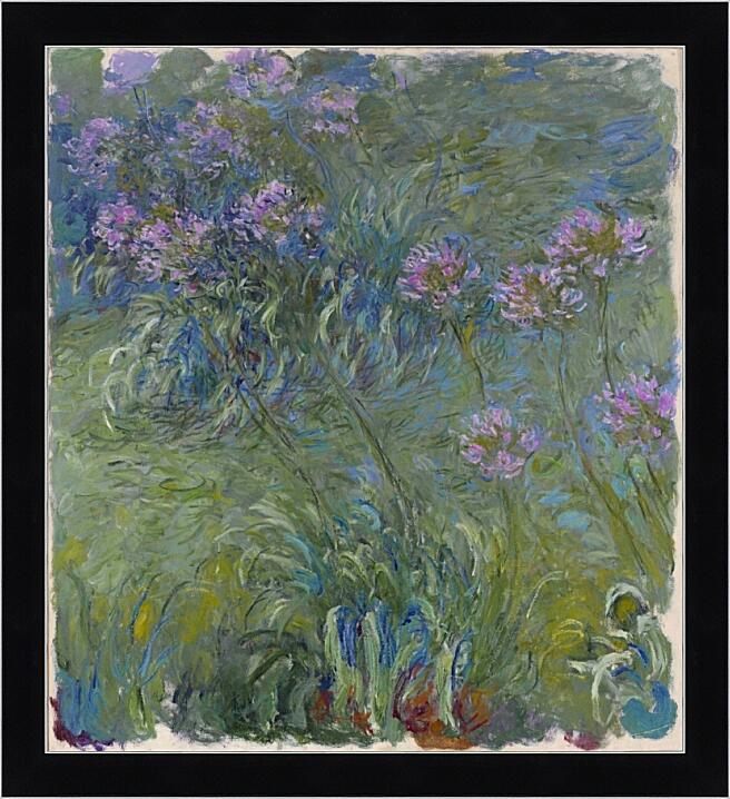 Картина - Agapanthus, 1914-17