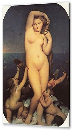 Постер (плакат) - Venus Anadyomene
