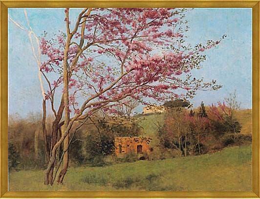 Картина - Blossoming Red Almond, study
