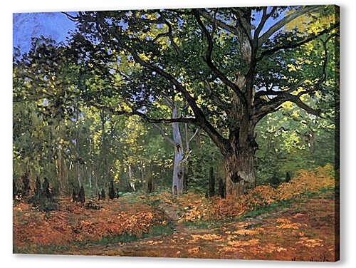 Картина маслом - The Bodmer Oak, Fontainbleau Forest	
