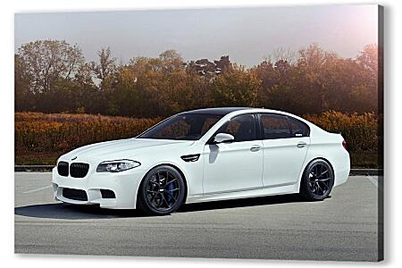 Картина маслом - BMW M5 белый