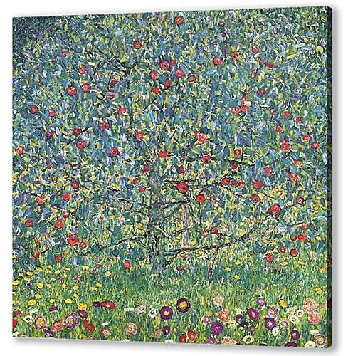 Obstgarten mit Rosen