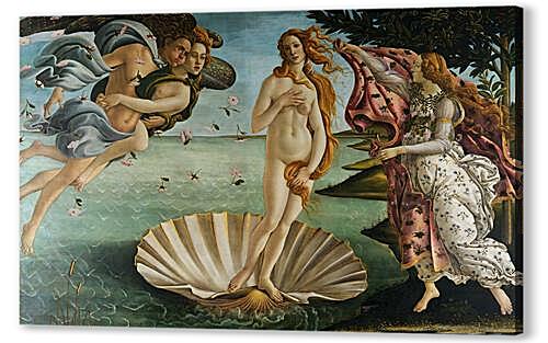 Birth of Venus	
