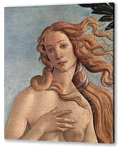 Постер (плакат) - Birth of the Venus (detail)	
