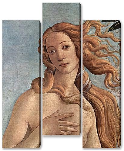 Модульная картина - Birth of the Venus (detail)	
