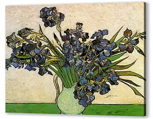 Still Life Vase with Irises
