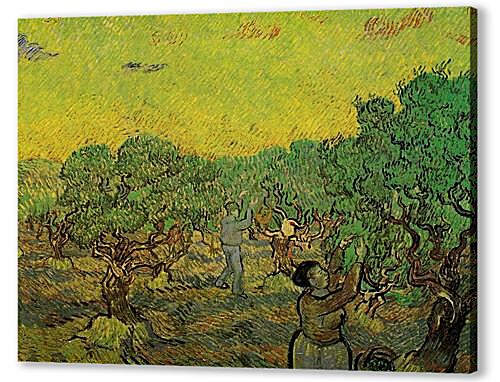 Картина маслом - Olive Grove with Picking Figures
