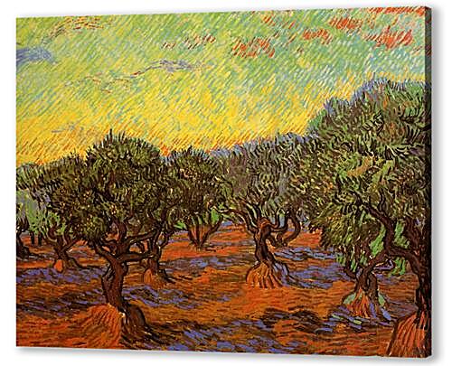 Olive Grove Orange Sky
