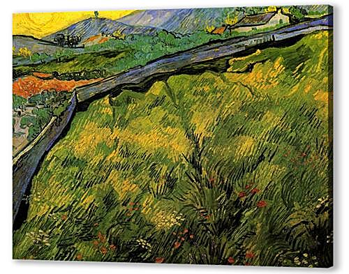 Постер (плакат) - Field of Spring Wheat at Sunrise
