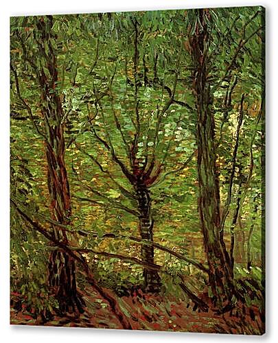 Постер (плакат) - Trees and Undergrowth
