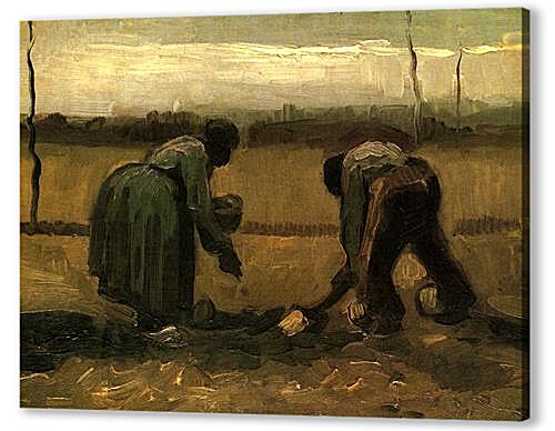 Peasant and Peasant Woman Planting Potatoes
