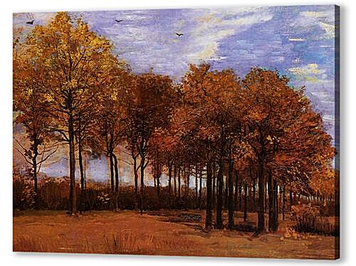 Autumn Landscape
