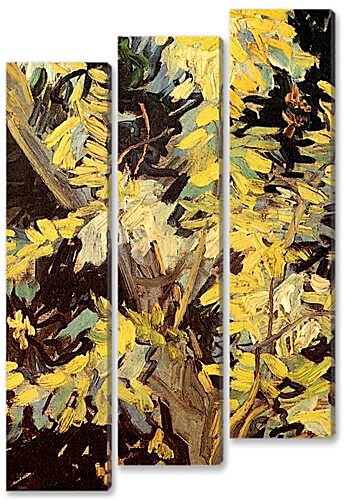 Модульная картина - Blossoming Acacia Branches
