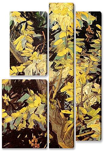 Модульная картина - Blossoming Acacia Branches
