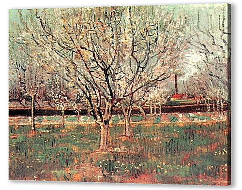 Картина маслом - Orchard in Blossom Plum Trees
