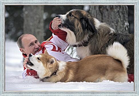 Картина - Путин с собаками