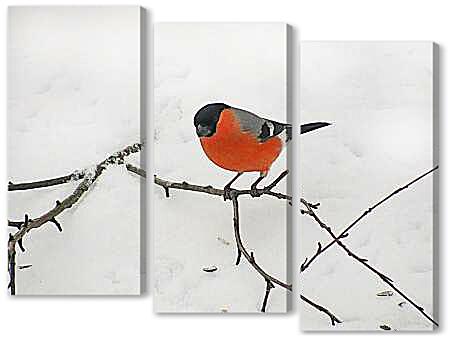 Модульная картина - Снегирь