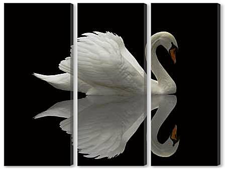 Модульная картина - Лебедь