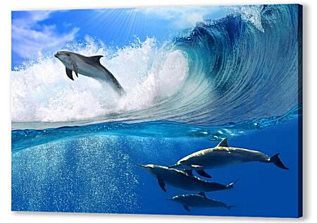 Постер (плакат) - Дельфины в море