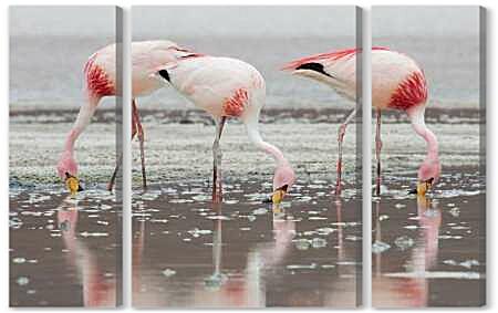 Модульная картина - Розовые фламинго