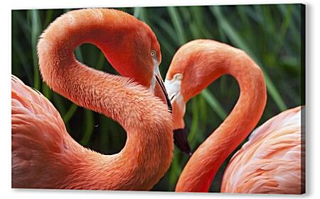 Картина маслом - Два фламинго