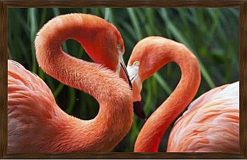 Картина - Два фламинго
