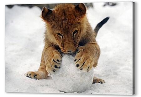 Львенок со снежком