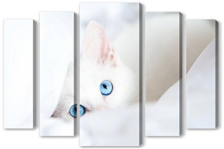 Модульная картина - Голубоглазый котенок