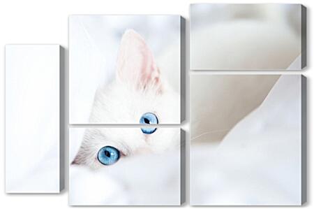 Модульная картина - Голубоглазый котенок