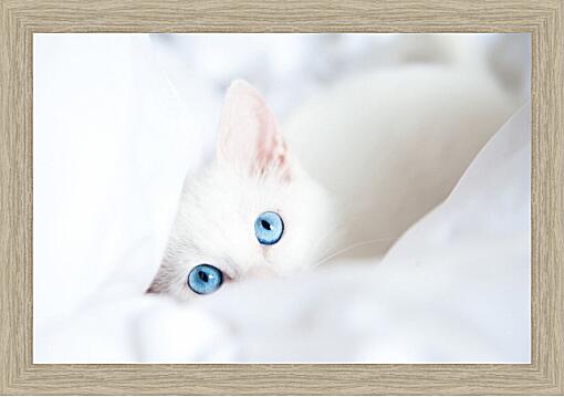 Картина - Голубоглазый котенок