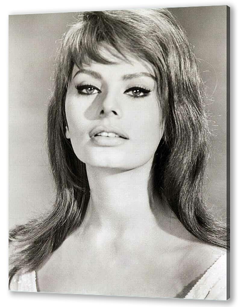 Постер (плакат) - Sophia Loren-1
