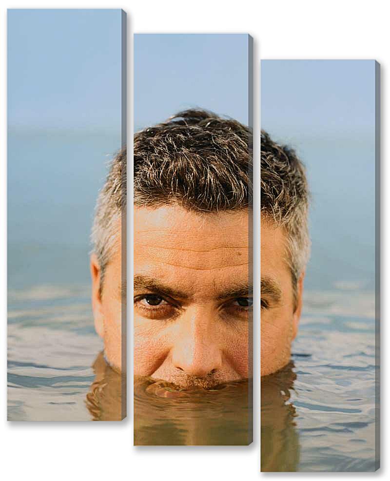 Модульная картина - Джордж Клуни-24
