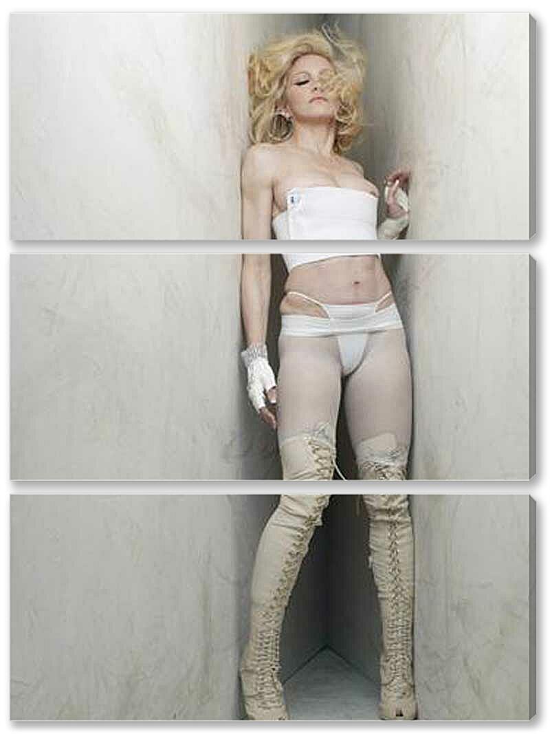 Модульная картина - Мадонна-484
