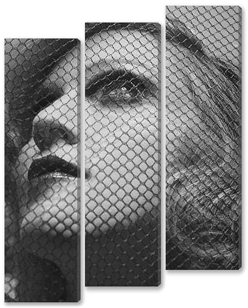 Модульная картина - Мадонна-576
