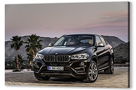 Черный BMW X6 (БМВ)