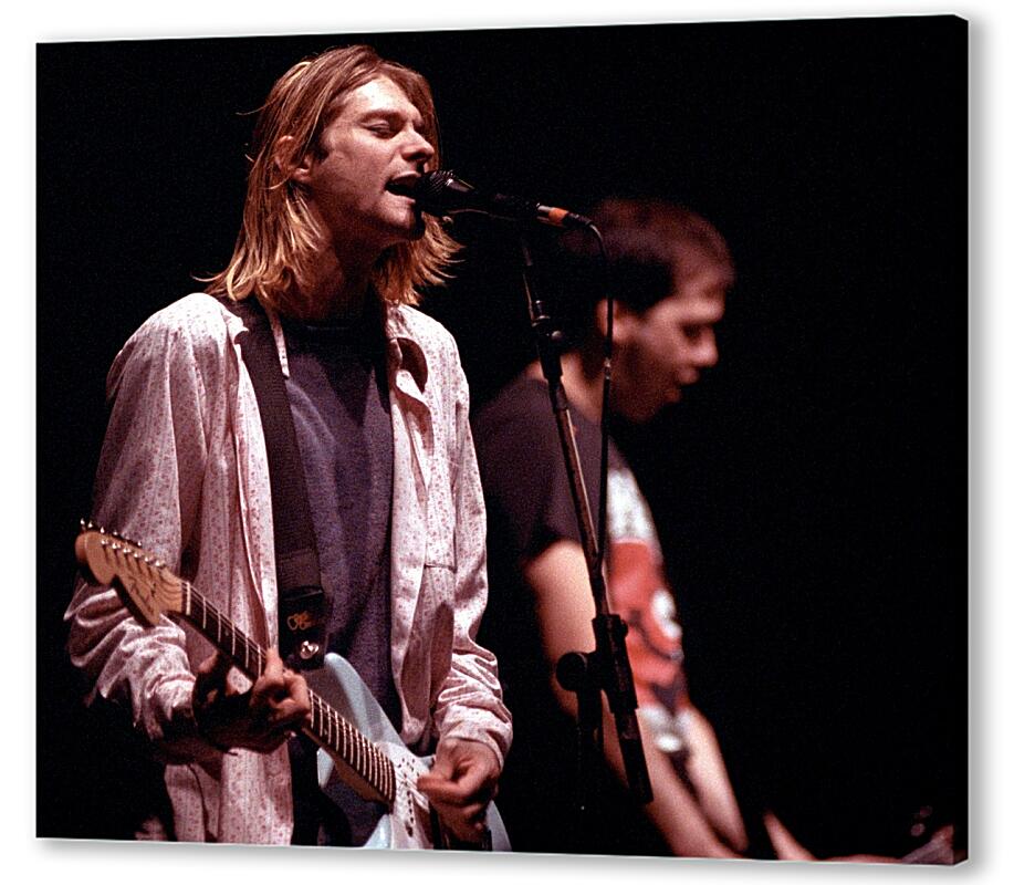 Постер Nirvana 1994 артикул 01-052