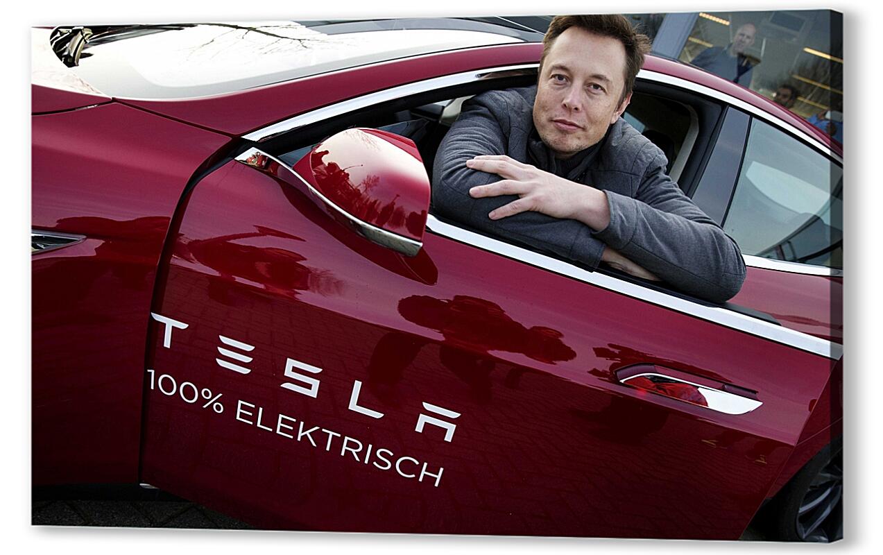 Постер (плакат) Tesla Elon Mask артикул 01-233