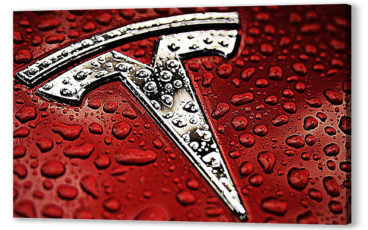 Постер (плакат) Tesla Metal Logo артикул 01-234