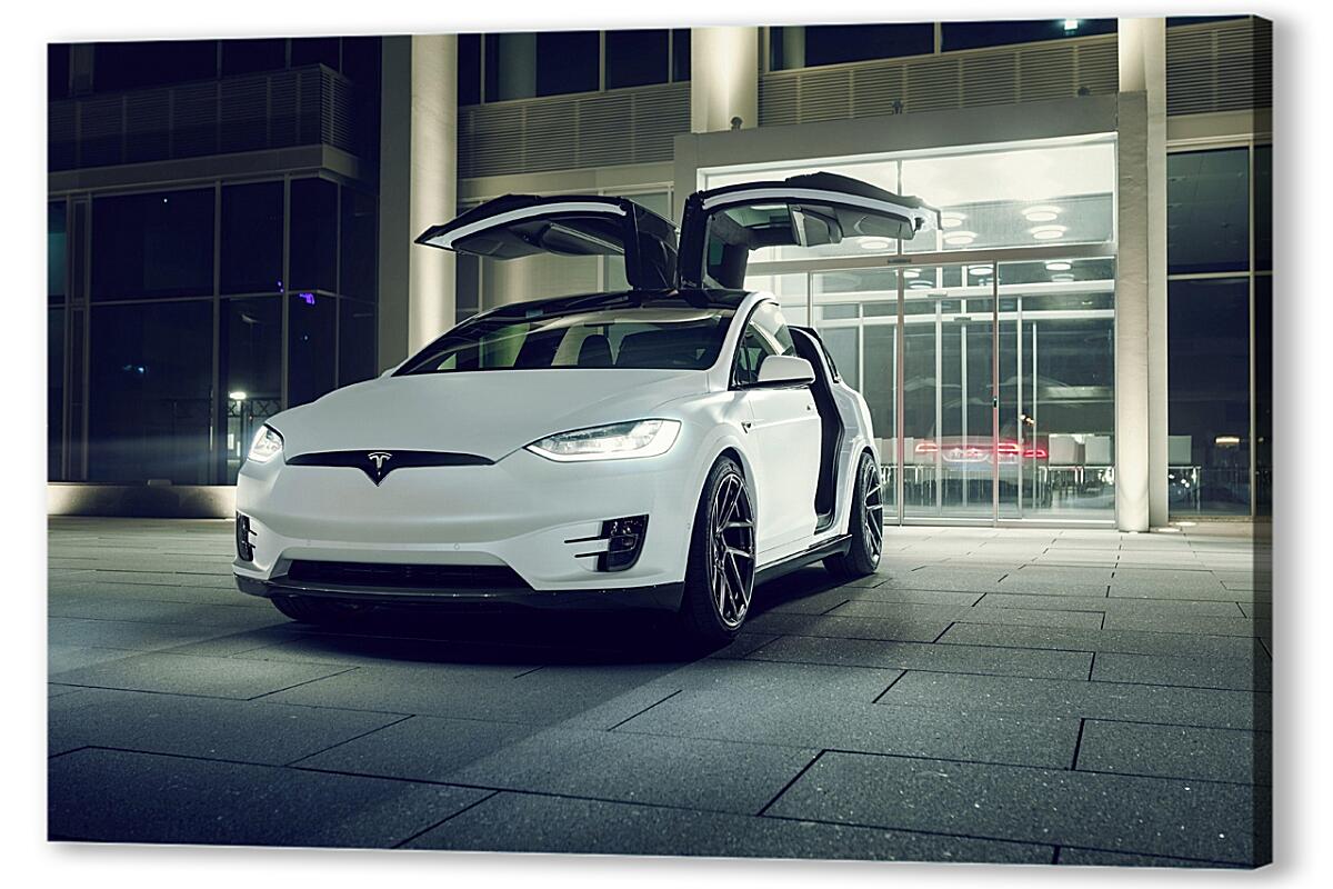 Постер Tesla Novitec артикул 01-239