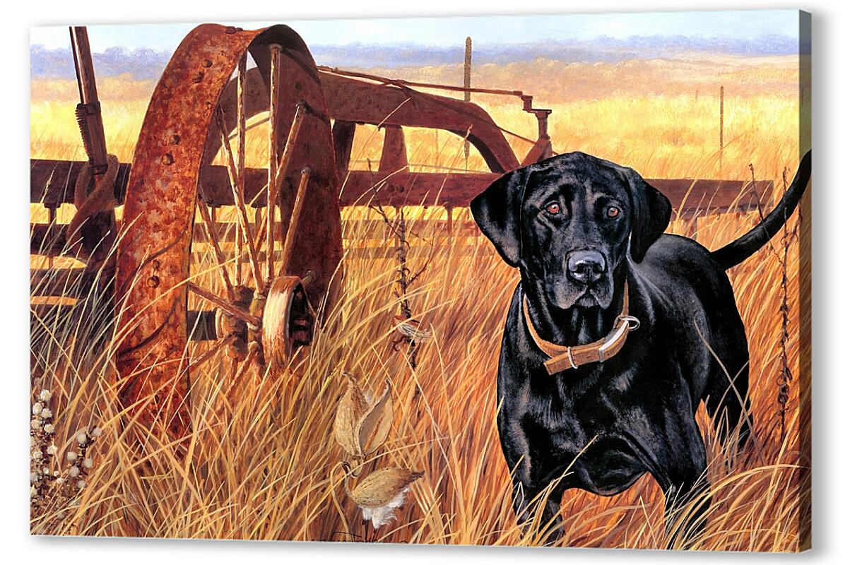 Постер (плакат) Охотничий пёс артикул 0219-A