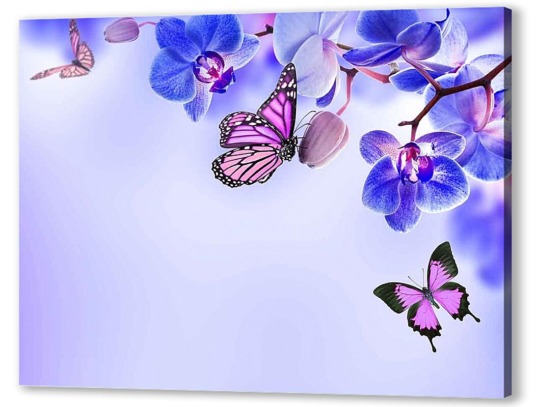 Постер (плакат) Бабочки и синие орхидеи артикул 03191