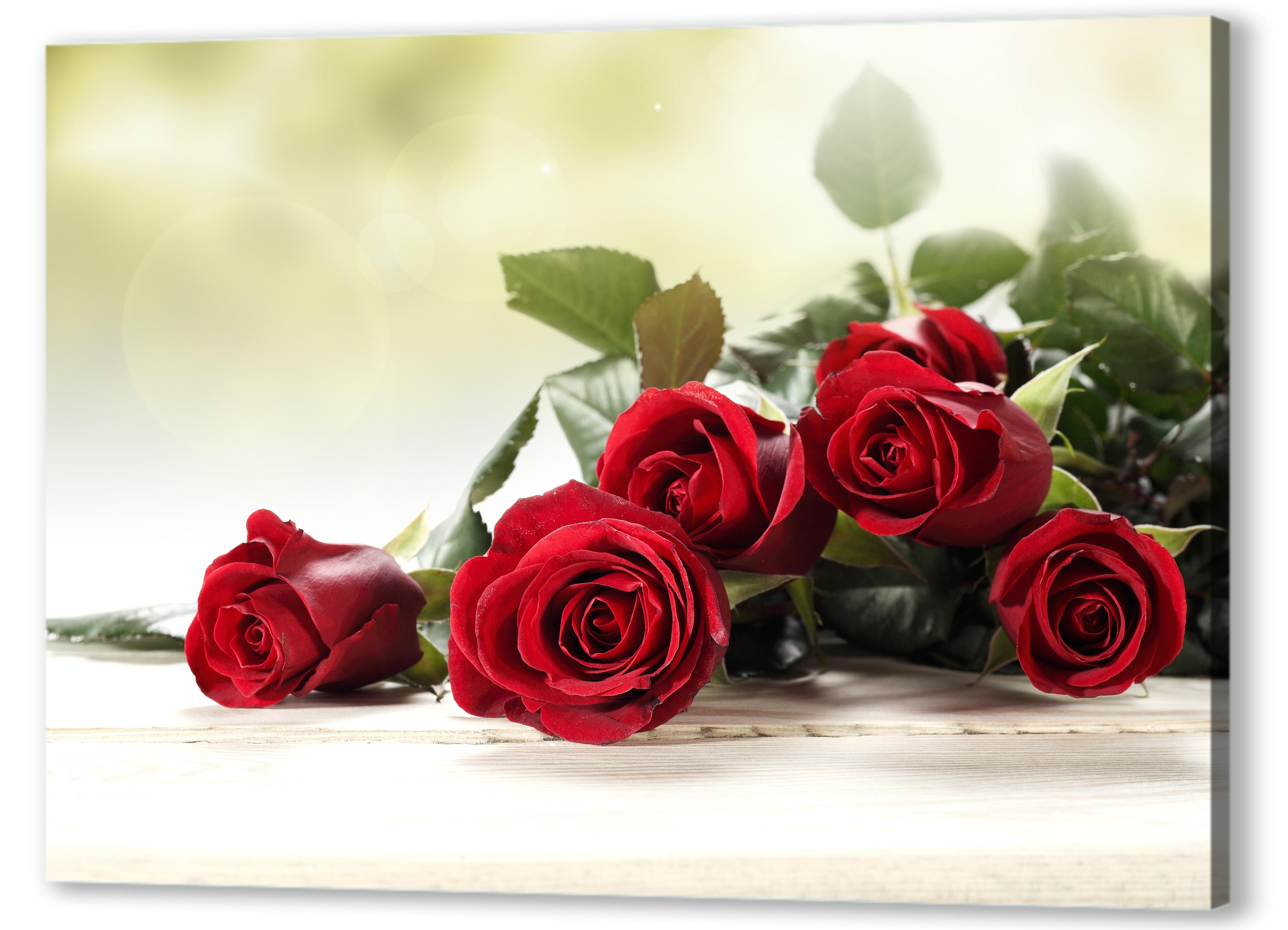 Постер (плакат) Красные розы 
 артикул 03346