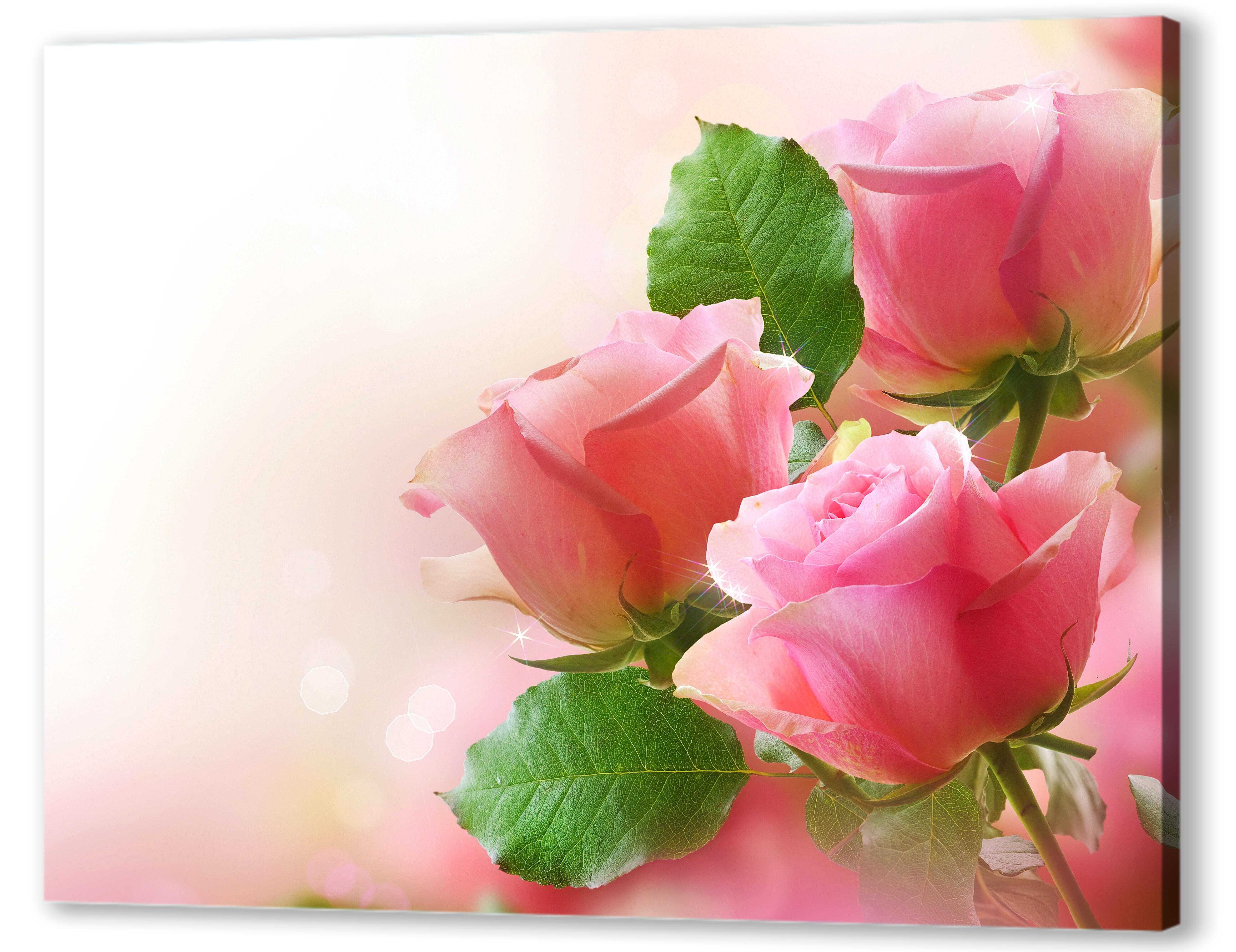Постер (плакат) Розы на ветке 
 артикул 03362
