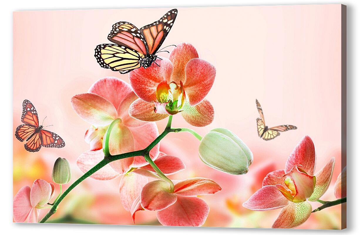 Постер (плакат) Орхидеи и бабочки артикул 05361