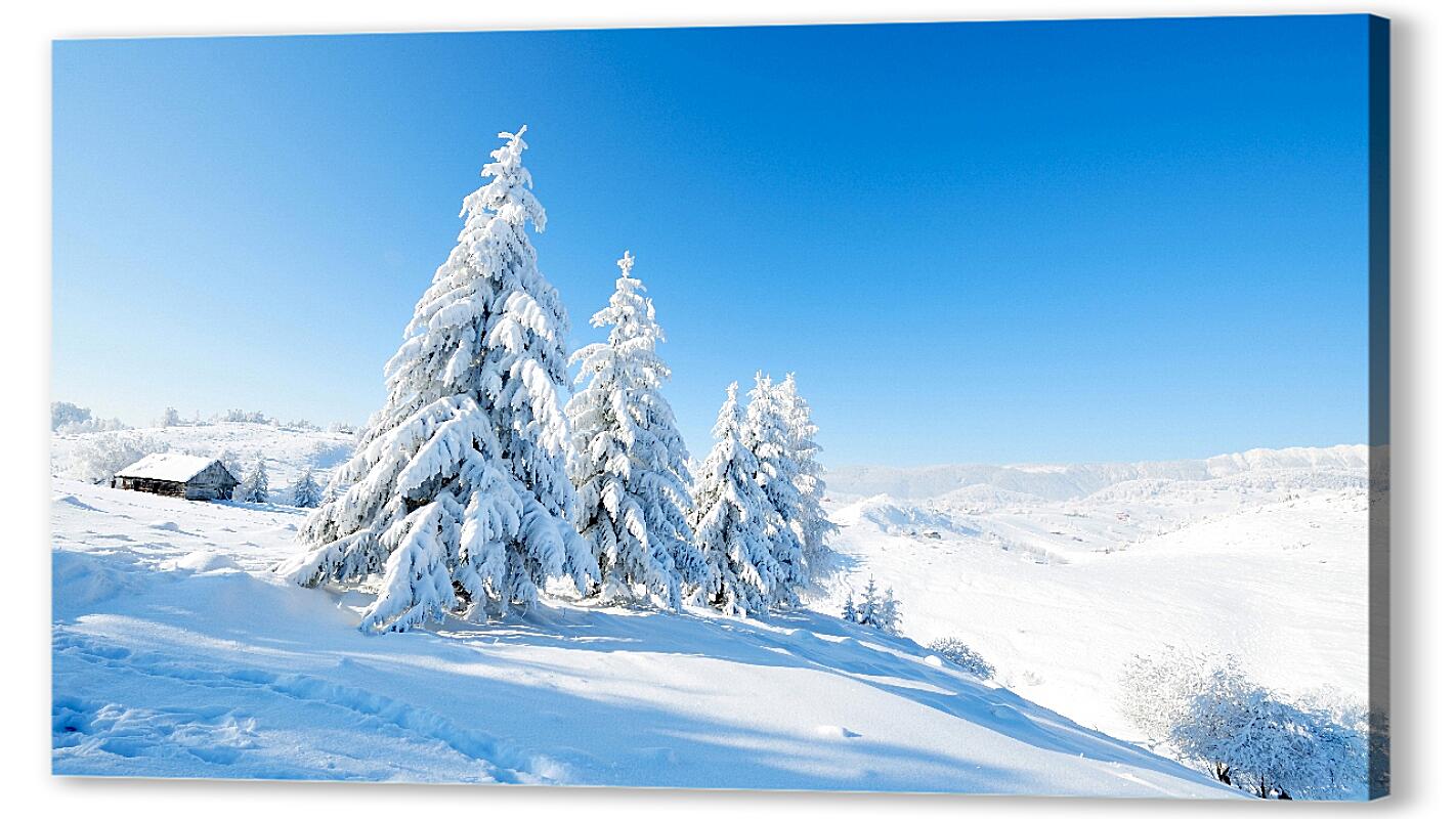 Постер Зимняя картина артикул 05441